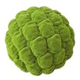 thumbnail image 4 of GOOHOCHY 1 pieza de piedra musgosa de simulación para manualidades, arte y decoración de micro paisajes (verde), 4 of 7