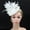 White, variant on NMMUED Women's Fascinator Hat with Feathers Church Formal Dress Hat Large Feather Mesh Netting Wedding Guest Garden Party Tea Party Elegant Ladies Headwear Black