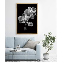 IDEA4WALL Framed Canvas Art Wall Decor Phalaenopsis Orchid Floral Flower Photography Minimalism Modern Closeup Dramatic Black and White for Dorm Home Office - 16"x24"