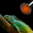 thumbnail image 3 of 220V Infrared Ceramic Lamp Brooder Light Reptile Incubator Black Ceramic Heat Emitter, 200W, 3 of 8
