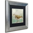 thumbnail image 2 of Trademark Fine Art "Sand Piper II" Canvas Art by Color Bakery Black Matte, Silver Frame, 2 of 4
