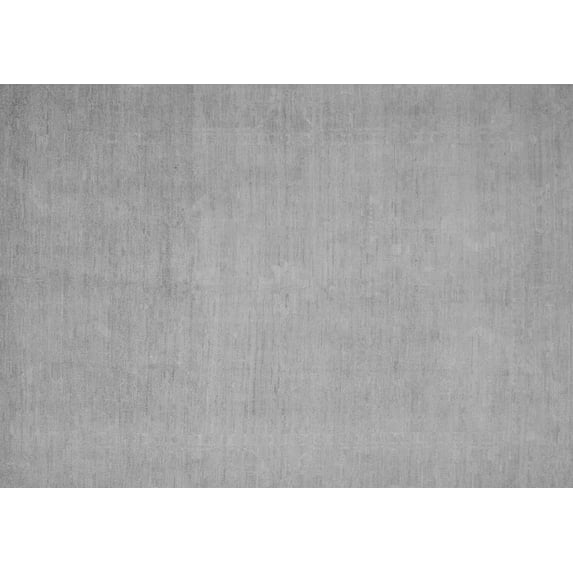 Ahgly Company Indoor Rectangle Oriental Gray Modern Area Rugs, 2' x 3'