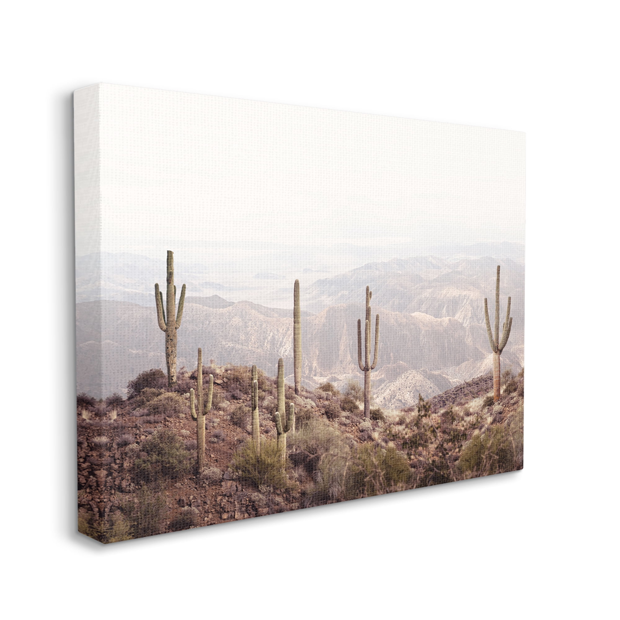 Stupell Industries Cacti Overlooking Desert Nature Photography Gallery Wrapped Canvas Print Wall Art, 48 x 36