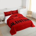 thumbnail image 3 of Manfei Boys Girls Love Valentine 2pcs Bedding Comforter Set,Black Red Twin Comforter Sets,Roamntic Love Heart Print Breathable Bedding Set,Super Cozy Room Decor,Reversible, 3 of 8