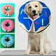 thumbnail image 3 of El comportamiento tranquilo de las patas apoya el collar inflable protector de mascotas, 3 of 5