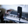 thumbnail image 5 of sE Electronics X1-A Large Condenser Microphone and Clip + 4-Inch Pop Filter + Euro Boom Mic Stand + XLR Mic Cable + Hosa Goby Labs Microphone Sanitizer + Cable Ties (6), 5 of 11