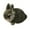 Gray, variant on Gallickan Cute Bunny Plush Toy, Realistic Soft Rabbit Stuffed Animal Plushies, 5.1" Bunny Figure Simulation Rabbit Model for Kids Boys Girls Age 3+, Black