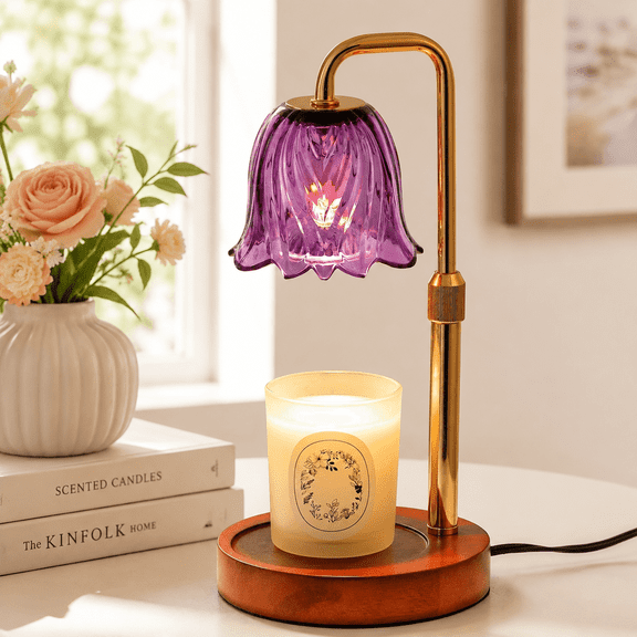 Funistree Candle Warmer Lamp with Timer and Dimmer, Candle Warmer with 2 50W Bulbs, Gifts for Women Mom Girlfriend, House Warming Gifts