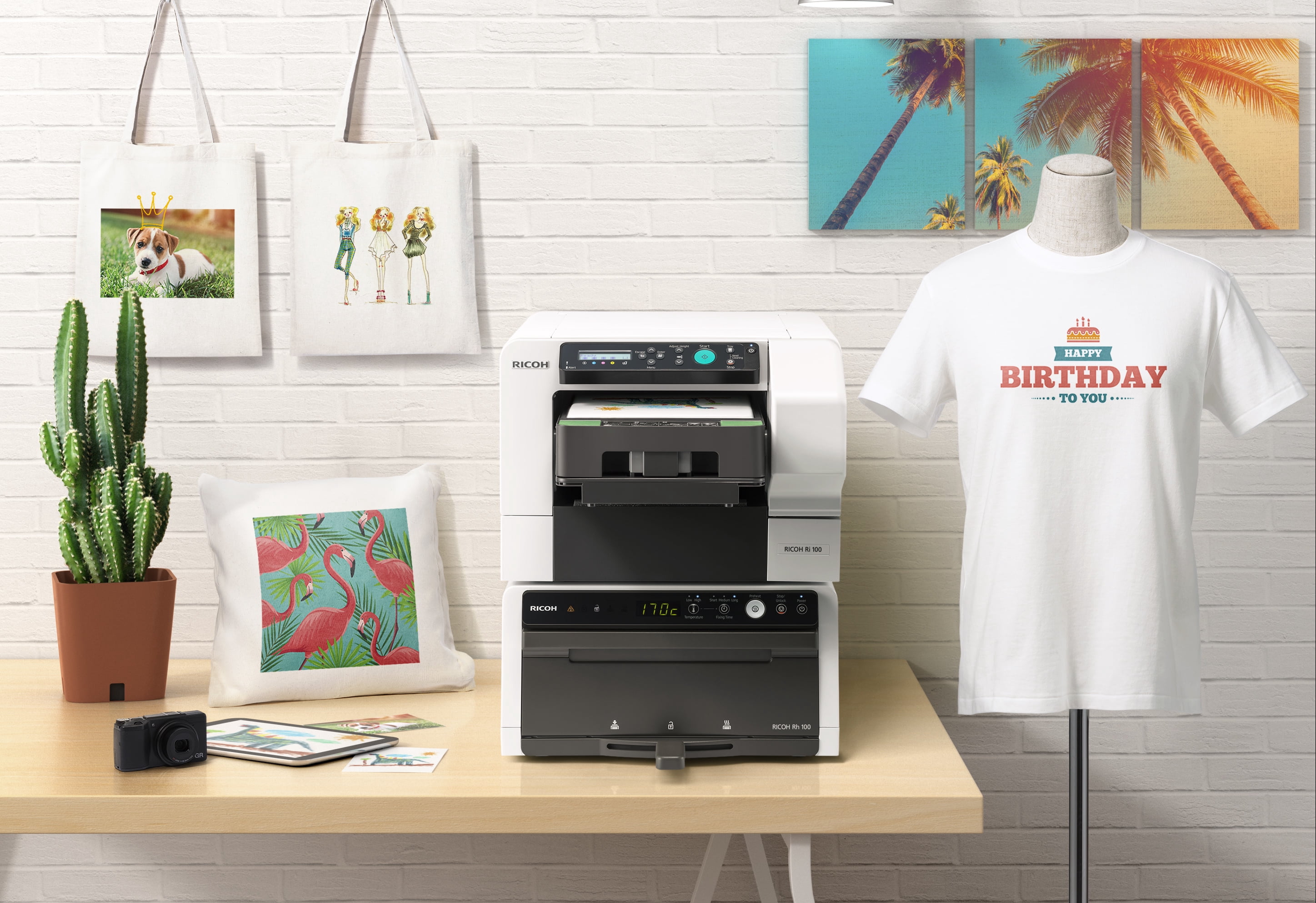 RICOH Ri 100 Direct to Garment Digital Inkjet Clothes Printer - Walmart.com