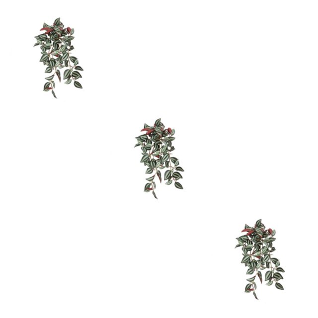 QualitChoice Fake Plants Artificial Plant Flower Simulation Leaf Hanging Wedding Photography Rattan Indoor Bathroom Balcony Purple red 3PCS