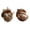 E, variant on Kojanyu Resin Forest Hazelnut Ornaments – Adorable Animal Figurines For Christmas Cozy Home Decor
