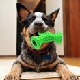 thumbnail image 1 of Juguete para mascotas, patrón de placa de hierro, triedro de seguridad de goma, fuga de comida para perros, 1 of 4
