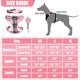 thumbnail image 2 of Set de arnés y collar de correa para perros pequeños PUPTECK, color rosa, 2 of 7