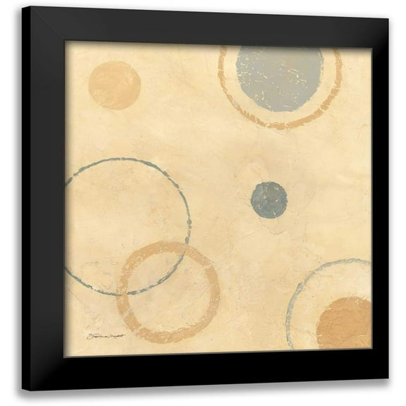 Marrott, Stephanie 12x12 Black Modern Framed Museum Art Print Titled - Circle Collage II