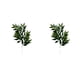 thumbnail image 2 of Bearachild 10 plantas artificiales realistas con hojas de seda que no dañan la piel, no requiere riego. Type2 NO2, 2 of 6