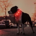 thumbnail image 5 of Syenll LED Dog Collar, USB Rechargeable Light up Dog Collar, Adjustable Safety Glowing Collar for Dogs (Red, Medium), 5 of 7