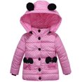 thumbnail image 1 of Ficarrico Niños Niño Niña Invierno Con Capucha Abrigo Acolchado Espesar Punto A Prueba De Viento Caliente Puffer Chaqueta Outwear Ropa, 1 of 5