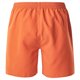 thumbnail image 2 of Aquawave - Bermudas Aogash para Hombre (Ratán), 2 of 3