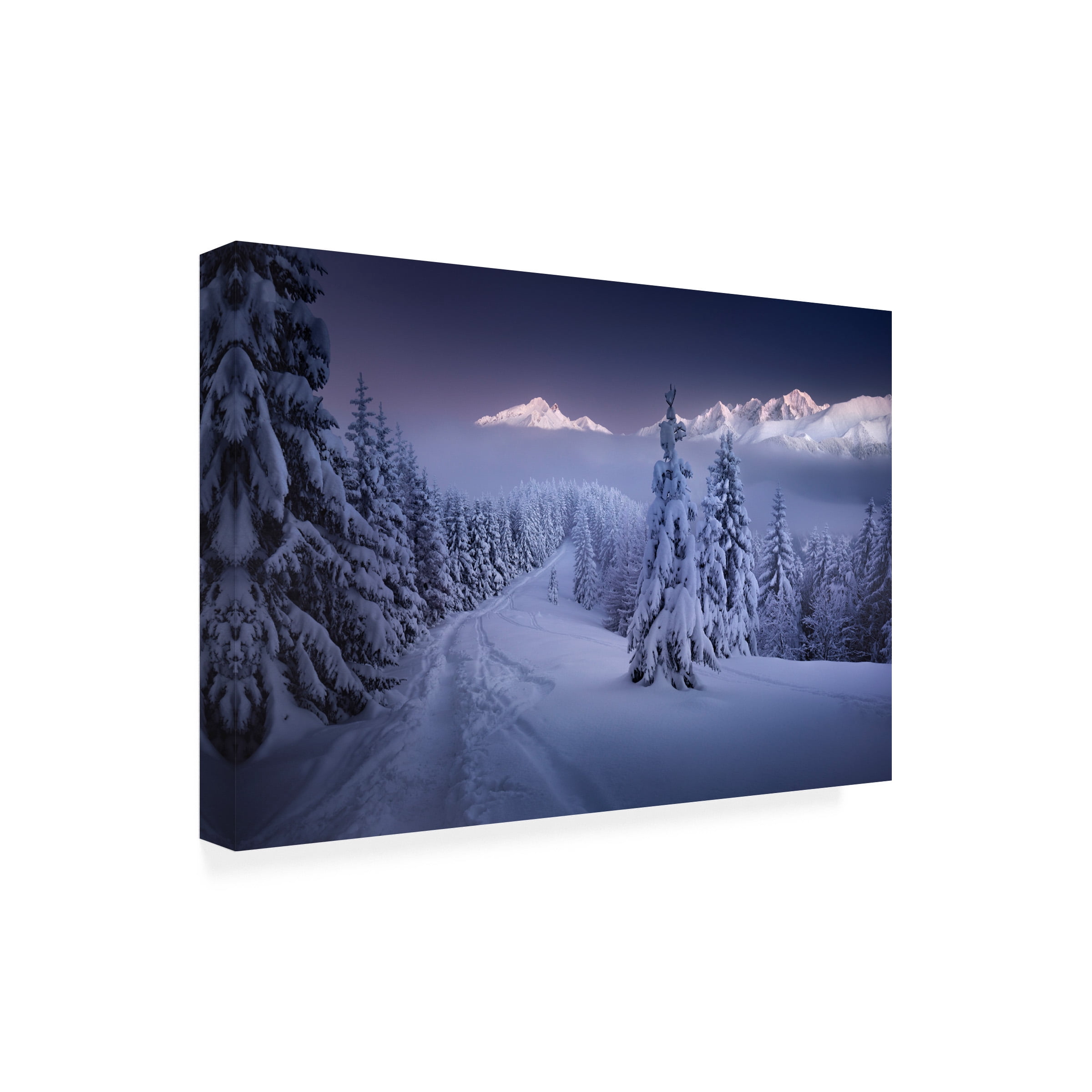 Karol Nienartowicz 'In The Winter' Canvas Art