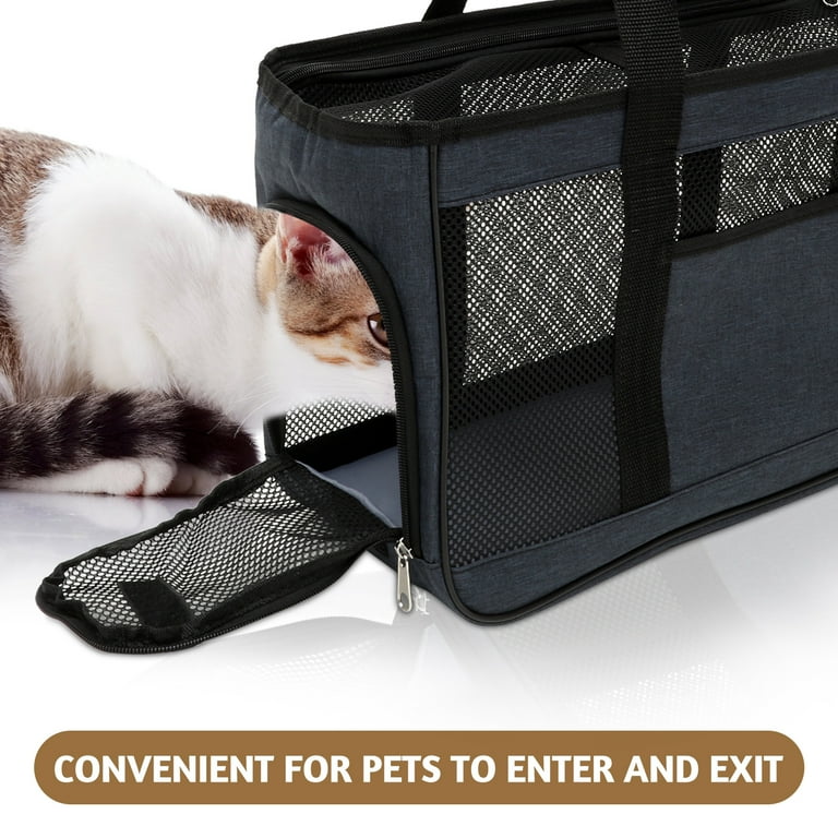 Cozy cat carrier best sale