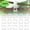 White, variant on PEIBang 100PCS Plant Support Garden Clips,Plant Vine Vegetable Fastening Clip Grafting Tools Make Plant Grow Upright and Healthier