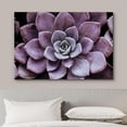 thumbnail image 2 of HFDF Canvas Prt Wall Art Closeup of Bloomg Purple Desert Succulent Floral Plants Photography Realism Rustic Colorful Ultra for Livg Room, Bedroom, Office - 16x12inch Framed, 2 of 6