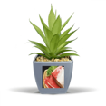 thumbnail image 1 of Lamb Leg Raw Meat Food Texture Fake Pineapple Flower Pot Vase Mini Decor, 1 of 3