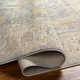 thumbnail image 5 of BoutiqueRugs Dally Traditional Area Rug - Medium Gray, Taupe, Charcoal - 7'10" x 10'2", 5 of 7