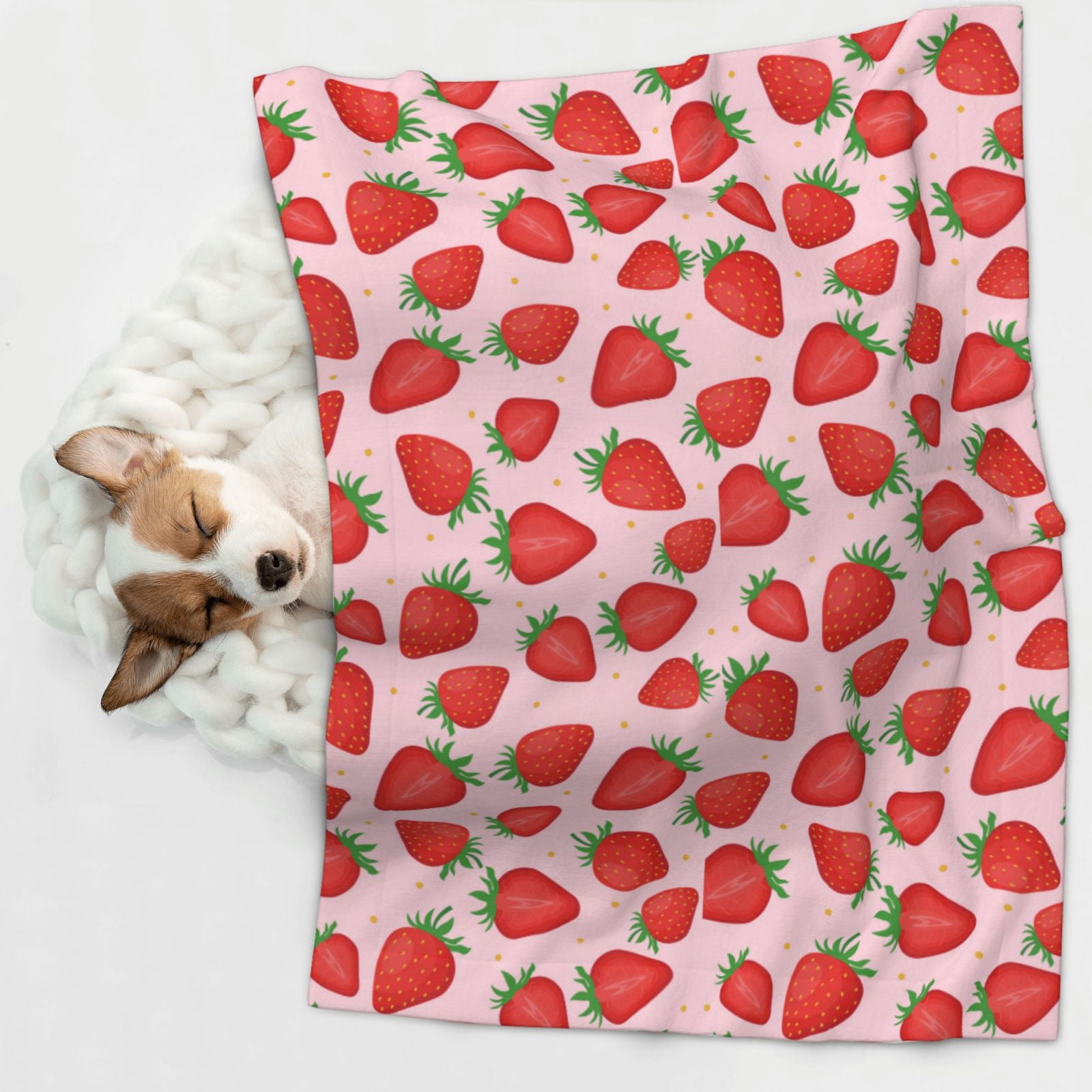 Naloa Strawberries Dog Blanket, 3 Sizes Cat Blanket for Indoor Cats Large Medium Small Dog Gifts-Large