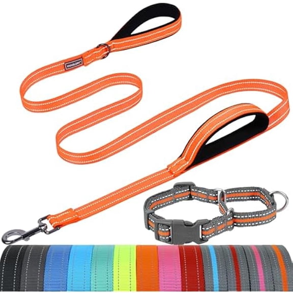 Eryueer Dog Leash Twingrip Double Handle Dog Leash with Traffic Handle Control & 2 Loop for Walking & Training, Reflective Heavy Duty for Puppy Pet Collar, 5 ft. x 1 in. L, Orange & Grey