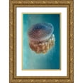 thumbnail image 1 of Halevy, Yaron 13x18 Gold Ornate Wood Framed with Double Matting Museum Art Print Titled - Jellyfish - Phylorhiza punctata, 1 of 4