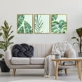 thumbnail image 2 of Stupell Industries Bohemian Various Plant Leaves Tropics Gold 3pc Floating Frame Art Set, 17 x 21 each, by Camila Juncos, 2 of 7