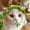 Green, variant on Cat Bonnet Hat Costume Soft Cotton Knit Cat Hat for Pet Photography Daily Wear Party Outings and Decorative Styling(Light Pink,M)