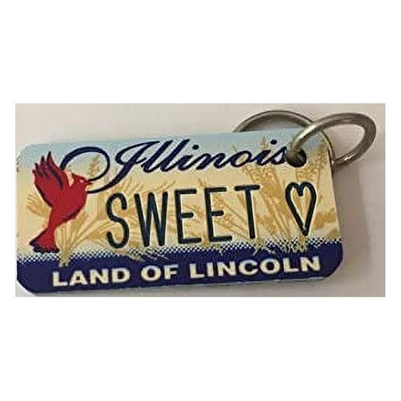 Illinois Land of Lincoln Sweet Name Keychain Key Holder Key Ring New