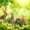 Rabbits By The Meadow, variant on Elephant Stock Sweet Loving Cheetahs Wall Art - Horizontal Multi Panel Canvas - Living Room Wall Decor - Animal Multi Panel - Black And Orange Decor - 23" x 14"