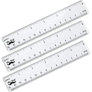 Standard/Metric 6 in. Plastic Ruler - Clear (2/Pack)