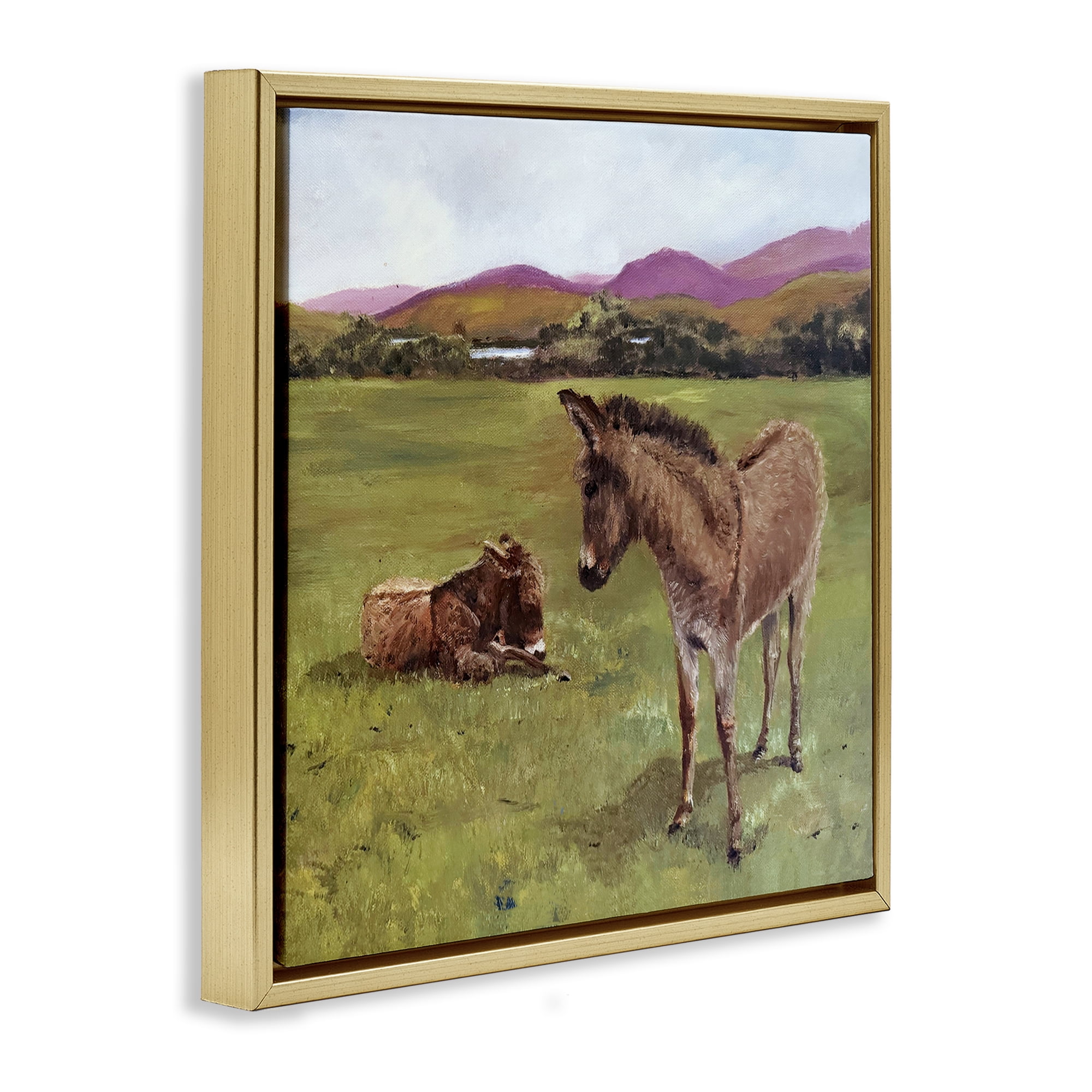 Donkey Duo in Pasture Gold Framed Floater Canvas Wall Art, design by Patricia Reynolds