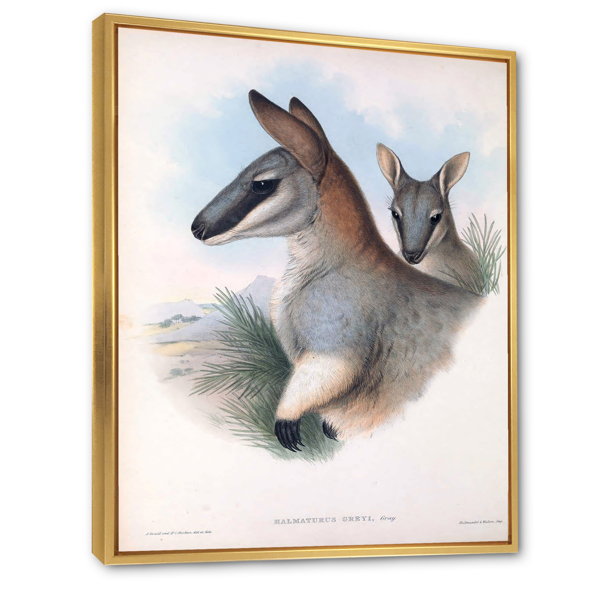 Designart 'Ancient Kangaroo' Farmhouse Framed Canvas Wall Art Print