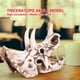 thumbnail image 5 of Modelo de calavera de Triceratops simulado-artesanía decorativa para el hogar y la Oficina, 5 of 10