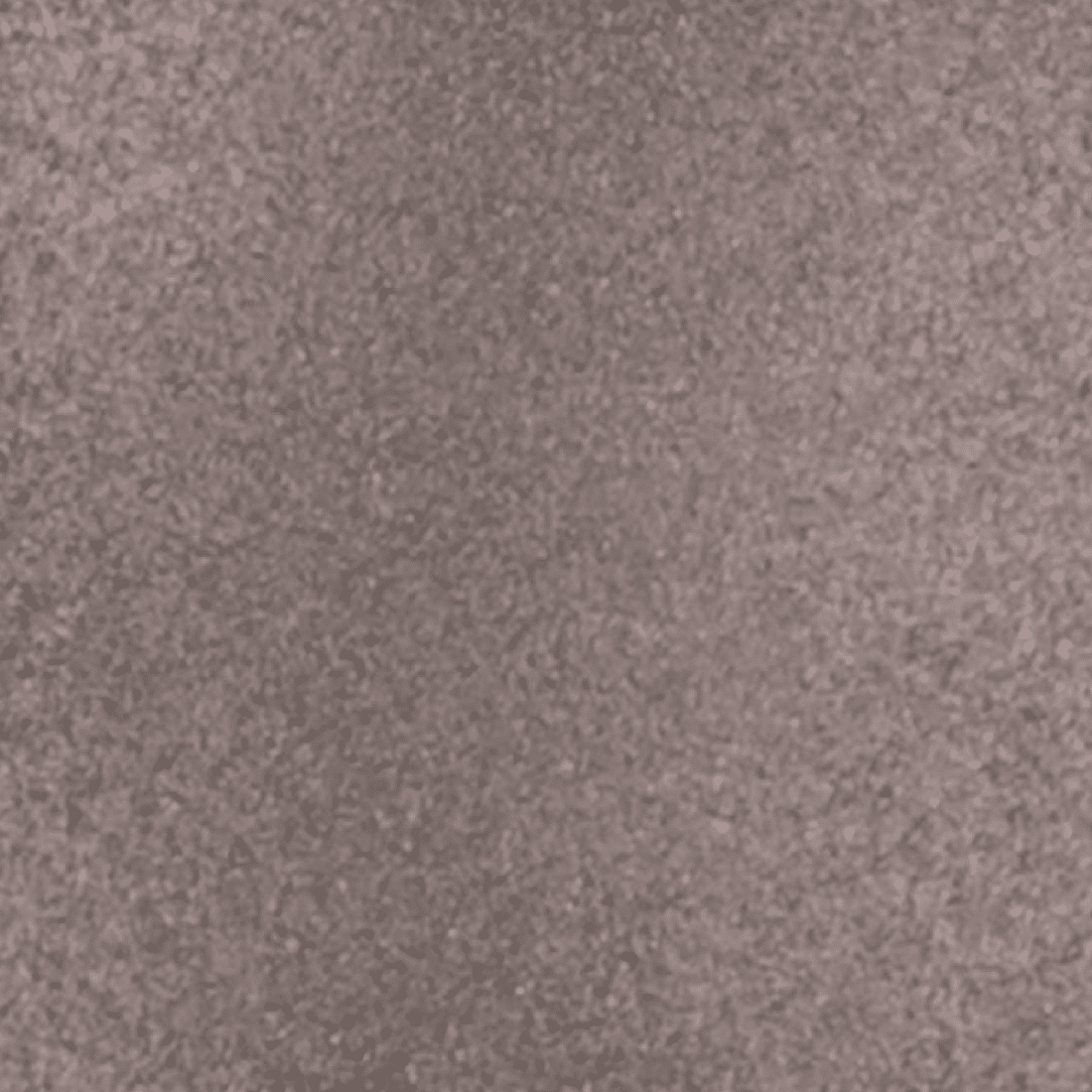 Venetian Bronze