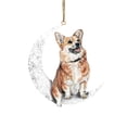 thumbnail image 2 of Perros Colgantes Colgantes Para Árboles De Navidad Decoraciones Para Perros Para Mascotas Colgantes Para Colgar En Ventanas O Puertas Advancent HA042685-09, 2 of 6