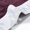 thumbnail image 3 of TANBOM Men's Bulge Enhancing Briefs Mesh Nylon Underwear Brown/Blue L 2-Pack, 3 of 6
