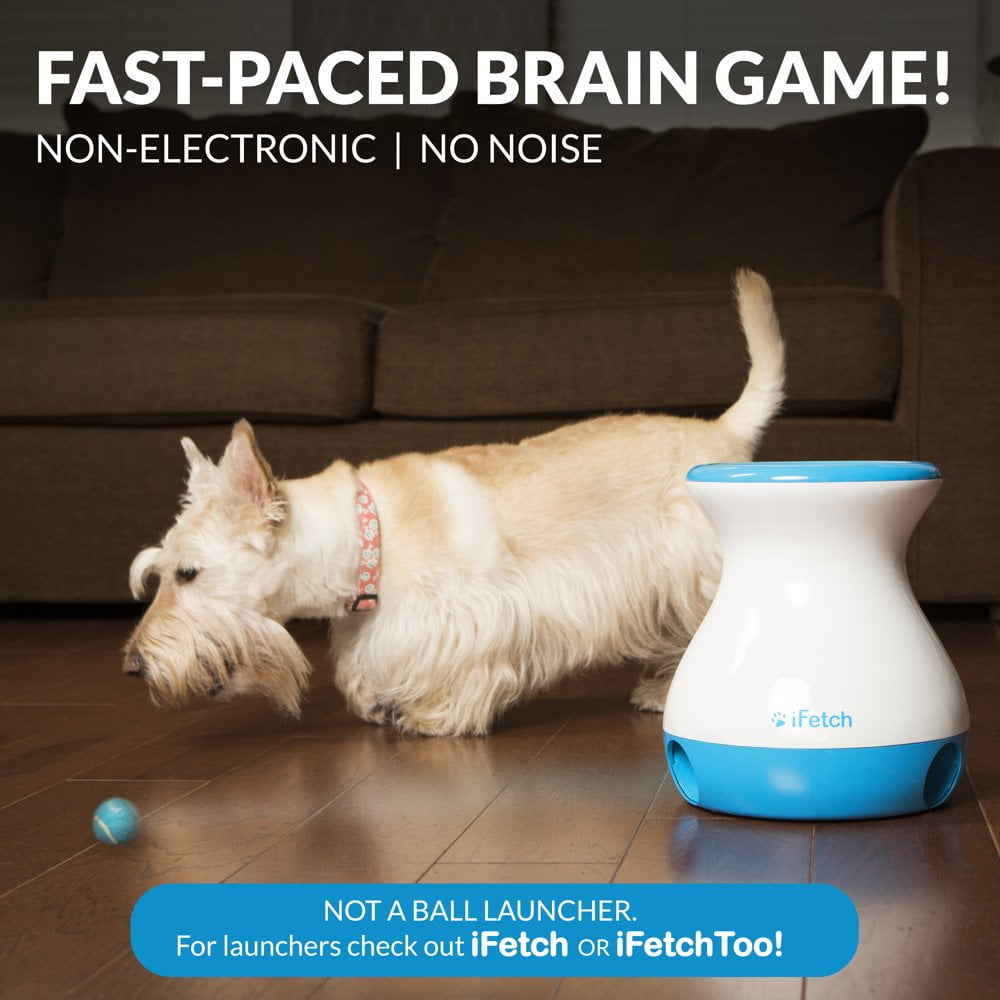 CHOK Frenzy Interactive Dog Toy Self Fetch Mini Tennis Ball Machine for Small and Medium Dogs Includes 3 Tennis Balls Mental Stimulation Brain Game Walmart