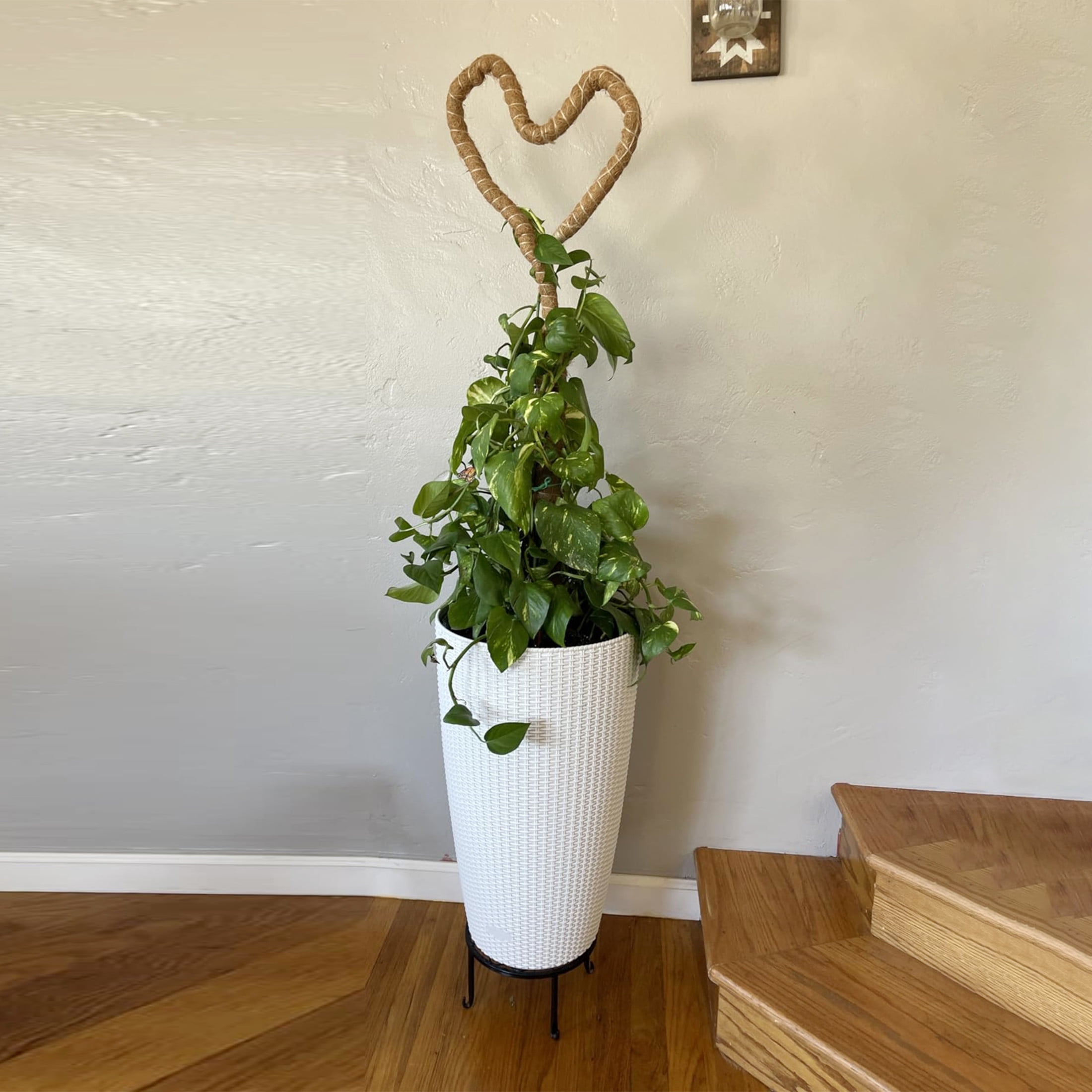 Noble House 2 Pack 22.44" Tall Self-Watering Faux Rattan Planters with Water Level Monitor, White