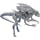 thumbnail image 1 of Figura de acción Hiya Toys Alien contra Predator Alien Queen 1:18, 1 of 8