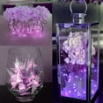 thumbnail image 5 of Dinheiro 12 Uds caja de batería con botón luces de alambre de cobre luces de cadena, luces decorativas para sala de jardín, 5 of 5