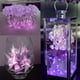 thumbnail image 5 of Cadena de luces de alambre de cobre con caja de batería de botón de 12 piezas Dinheiro, luces decorativas para sala de jardín, 5 of 5