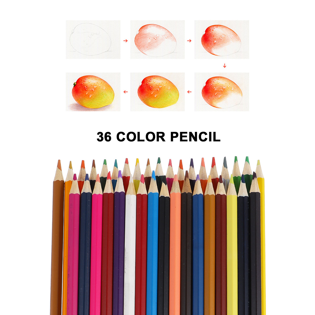 Supvox Back to School 36Pack Sketching Colored Pencils Assorted Color Oil Based Colors for Creative Activities 6.7*0.3in