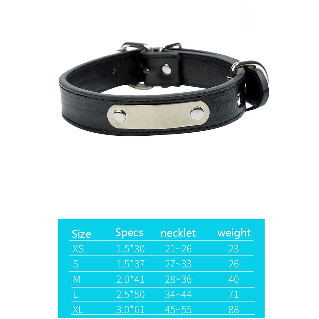 Dog collar identification tags deals
