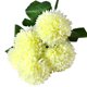 thumbnail image 3 of Ramo de flores artificiales de 5 cabezas Ceremonia de banquete de boda Decoración floral Tela de seda Flor falsa con hojas, Blanco kenally HA6561-01B, 3 of 6